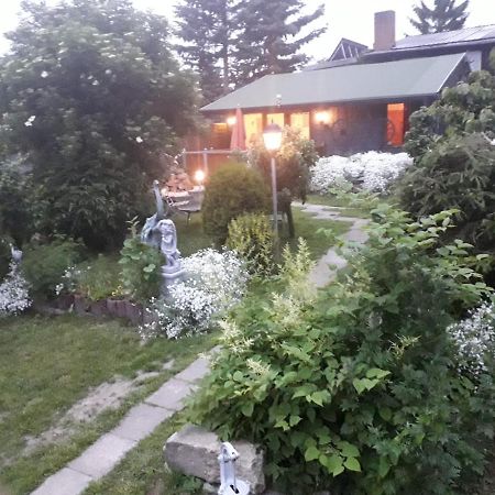 Вілла Ferienhaus Schulenberg Фрідріхсбрунн Екстер'єр фото