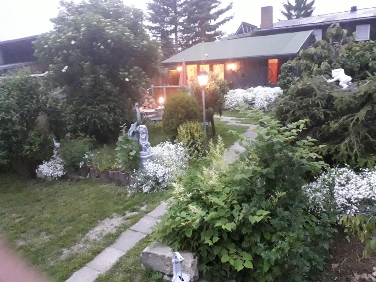Вілла Ferienhaus Schulenberg Фрідріхсбрунн Екстер'єр фото