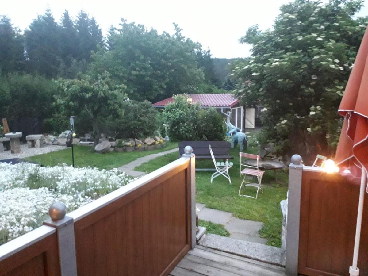 Вілла Ferienhaus Schulenberg Фрідріхсбрунн Екстер'єр фото